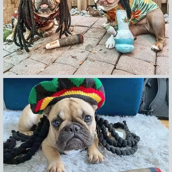 Doggie Doobie Double Squeaky Toy - Picture 3 of 8